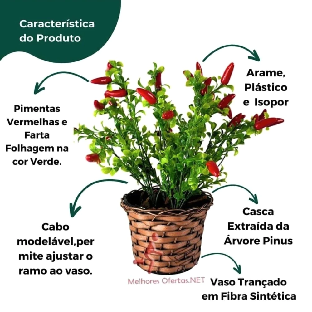 Planta Ornamental Botânica Lar da Madeira Pimenteira Nobre com Base em Fibra Trançada